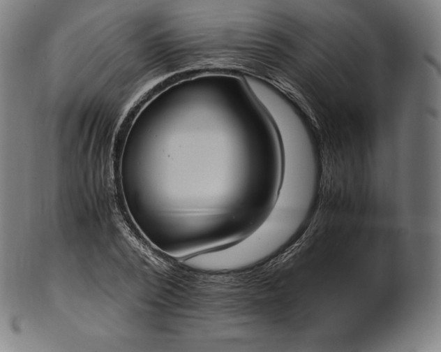 X0000101190784200807110943