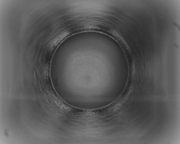 X0000101190785200807110943