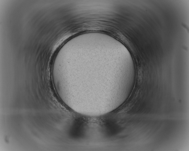 X0000101190787200807110943
