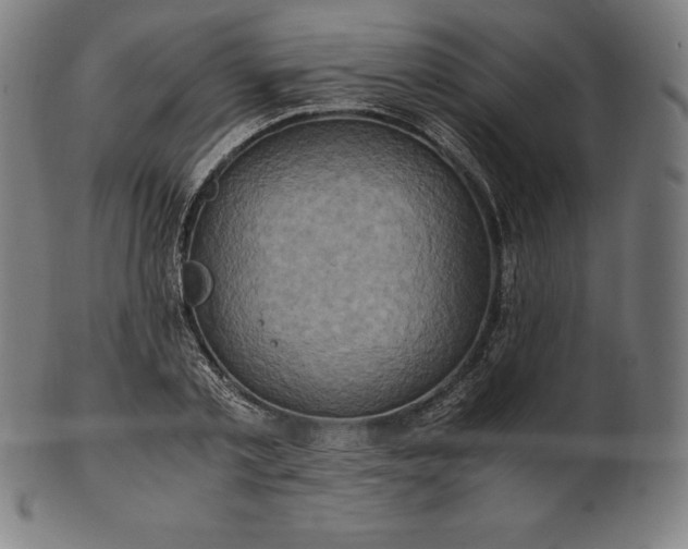 X0000101190789200807110943