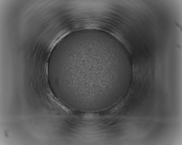 X0000101190790200807110943