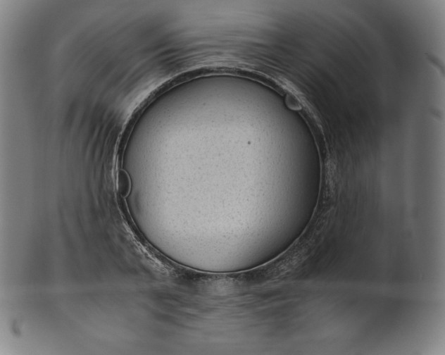 X0000101190791200807110943