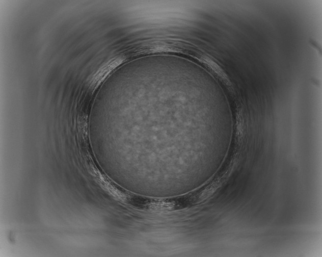 X0000101190793200807110943