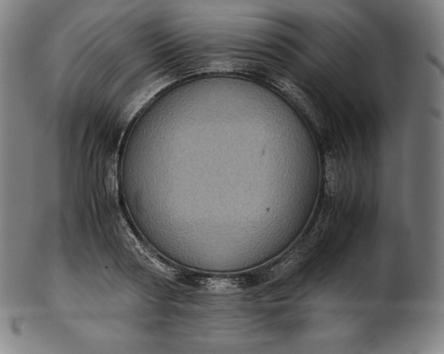 X0000101190794200807110943
