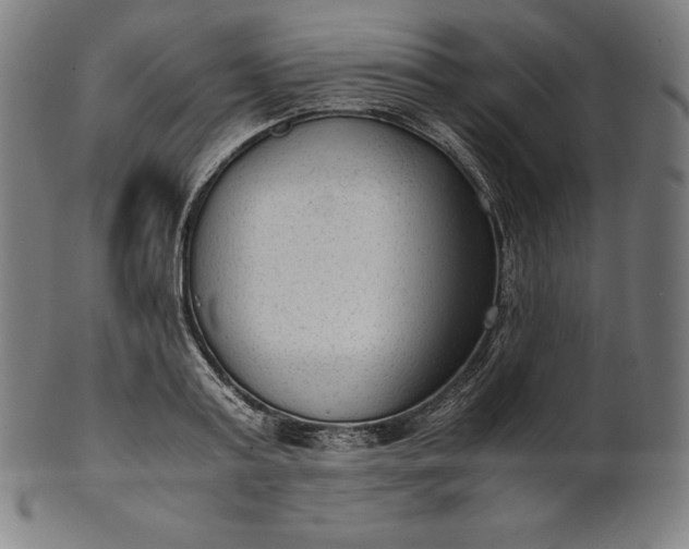X0000101190795200807110943