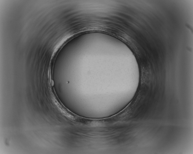 X0000101190796200807110943