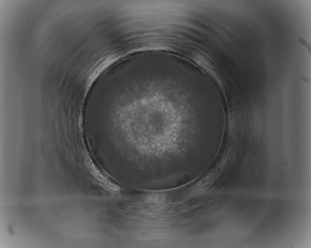 X0000101190797200807110943