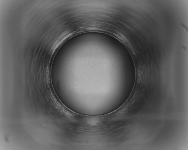 X0000101190798200807110943