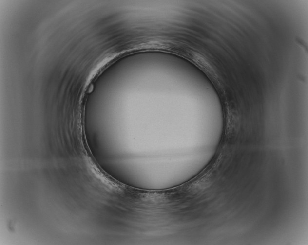 X0000101190800200807110943