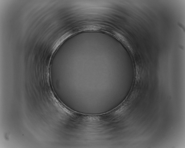 X0000101190802200807110943