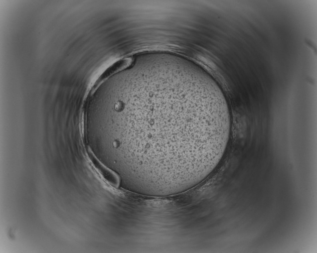 X0000101190804200807110943