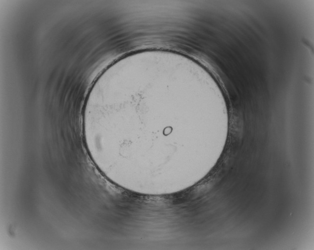 X0000101190807200807110943
