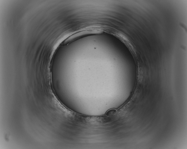 X0000101190808200807110943
