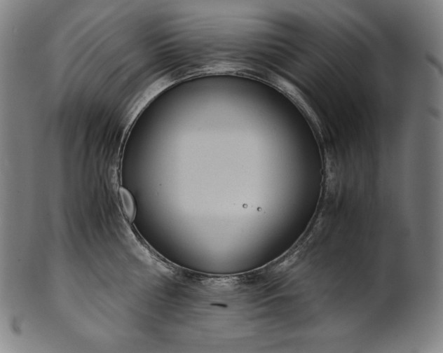X0000101190810200807110943