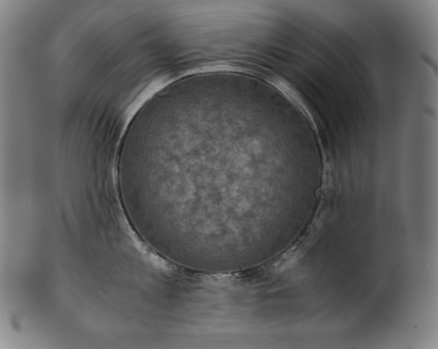 X0000101190813200807110943