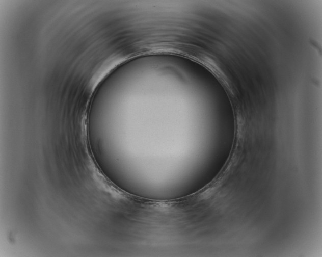 X0000101190814200807110943