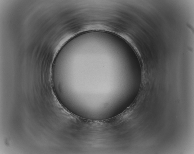 X0000101190815200807110943
