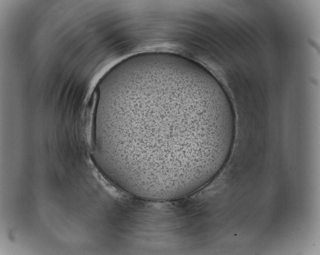X0000101190816200807110943