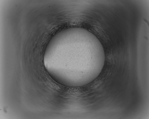 X0000101190817200807110942