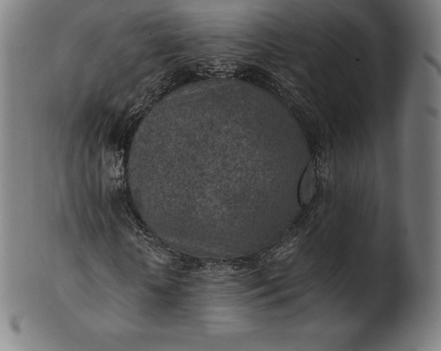 X0000101190818200807110942