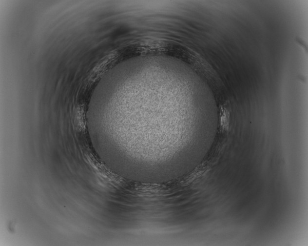 X0000101190819200807110942