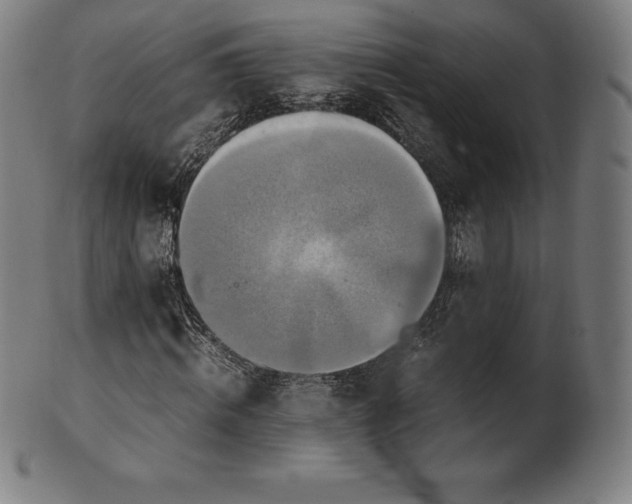 X0000101190820200807110942
