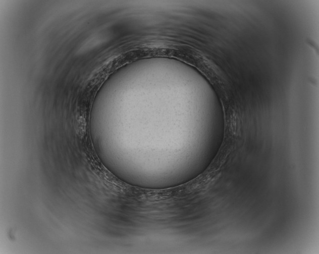 X0000101190821200807110942