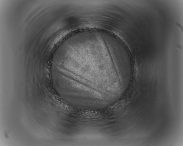 X0000101190823200807110942