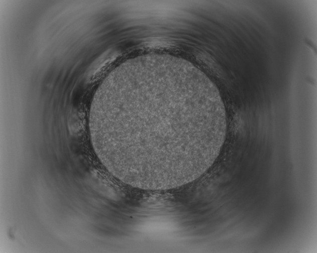 X0000101190824200807110942