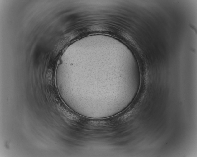 X0000101190825200807110942