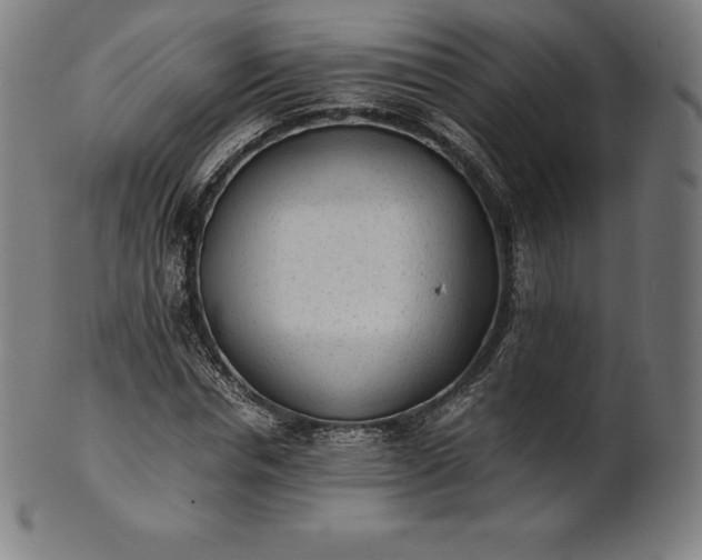 X0000101190826200807110942
