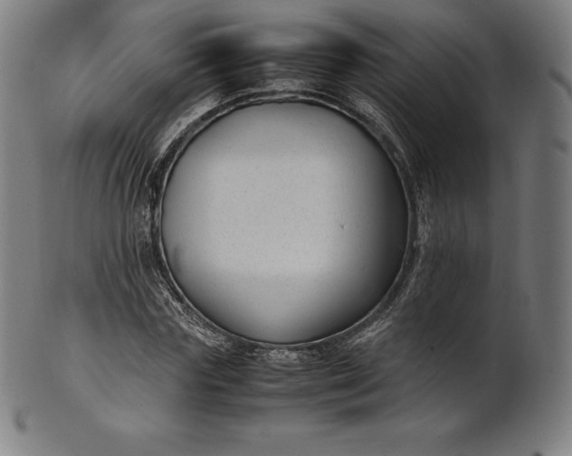 X0000101190827200807110942