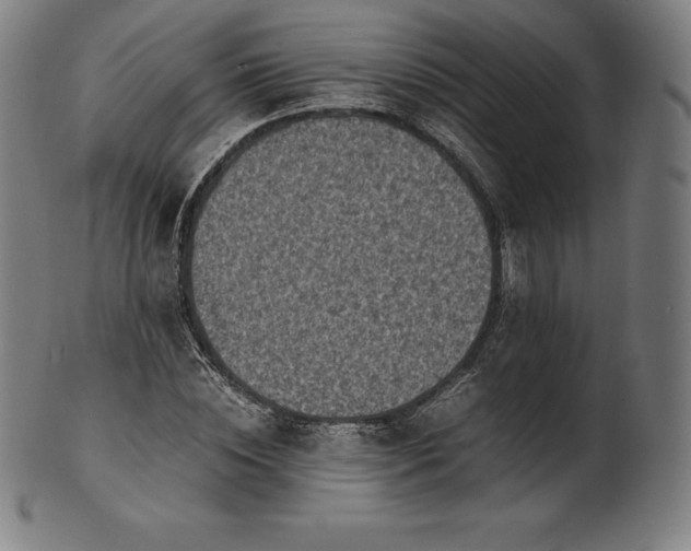 X0000101190828200807110942