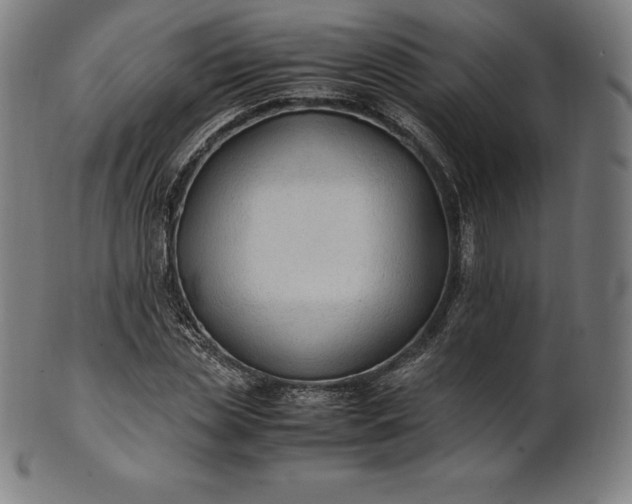 X0000101190829200807110942