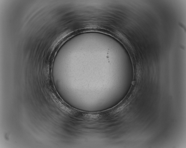 X0000101190831200807110942