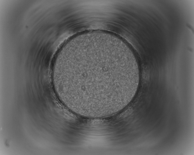 X0000101190832200807110942