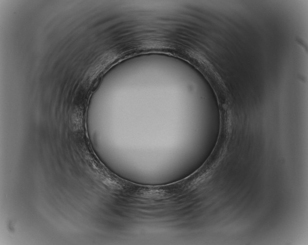 X0000101190833200807110942