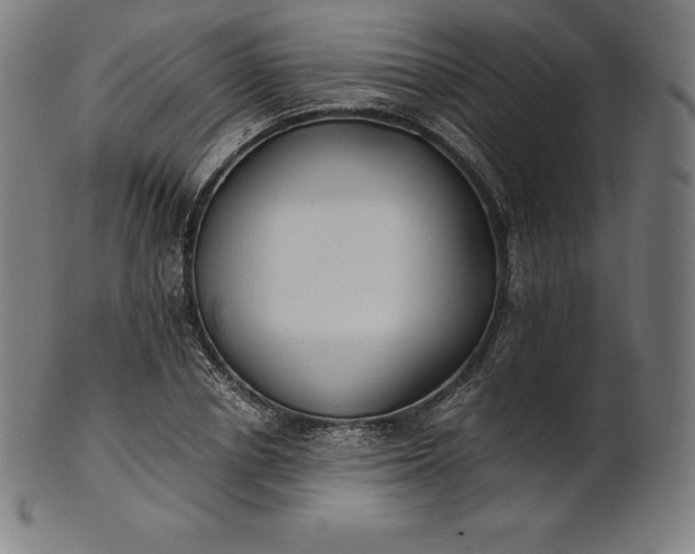 X0000101190834200807110942