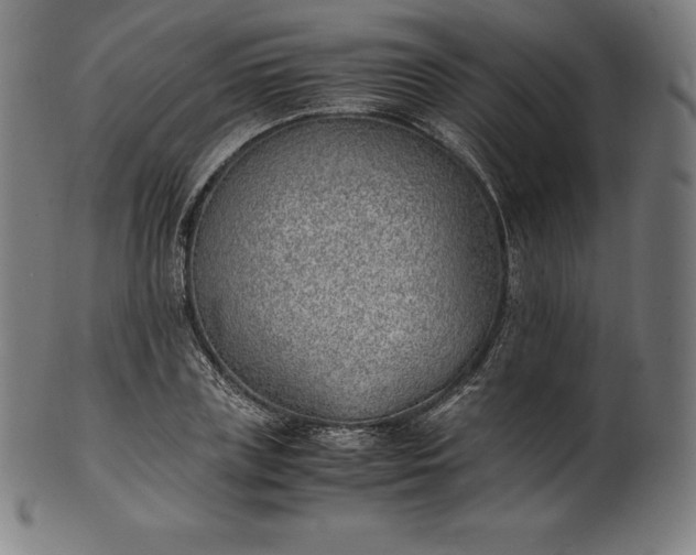 X0000101190835200807110942
