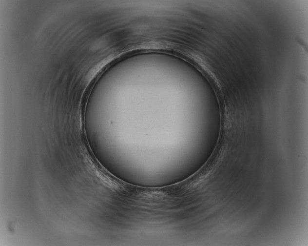 X0000101190837200807110942