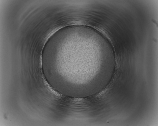 X0000101190839200807110943