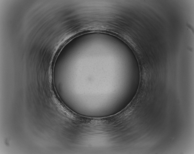 X0000101190840200807110943