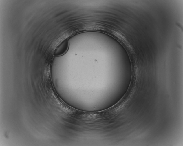 X0000101190841200807110943