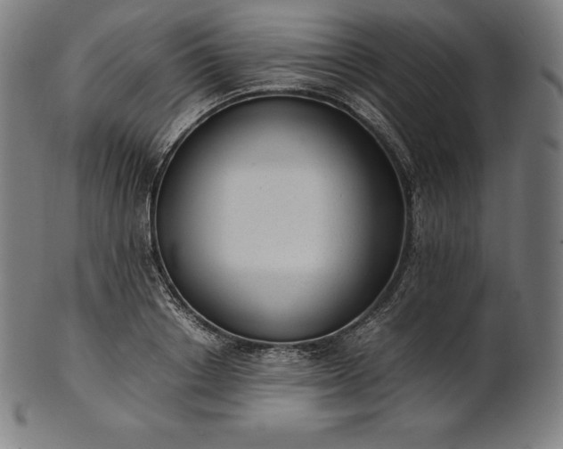 X0000101190842200807110943