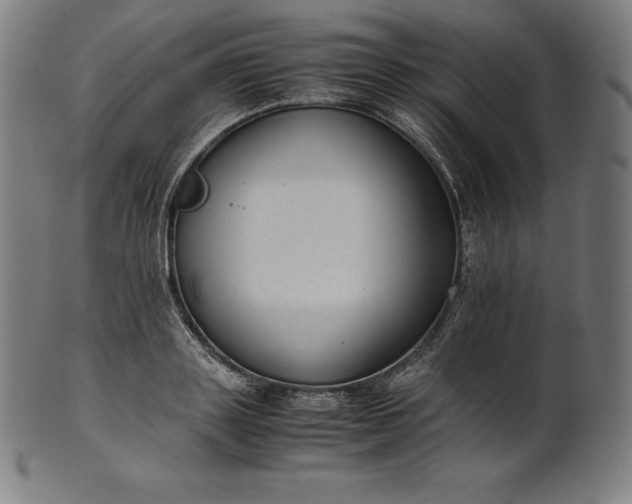 X0000101190843200807110943