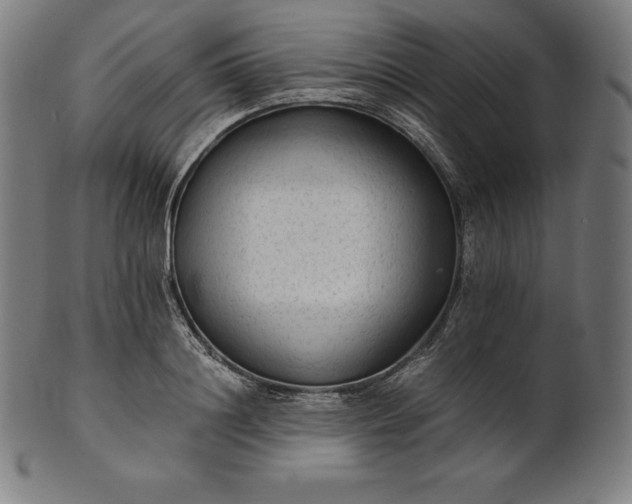 X0000101190844200807110943