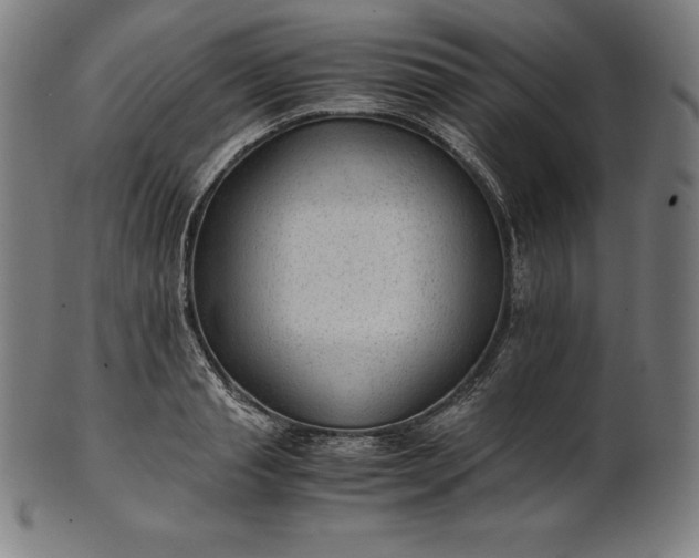 X0000101190845200807110943