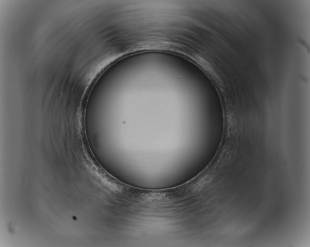 X0000101190846200807110943