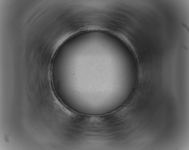 X0000101190847200807110943