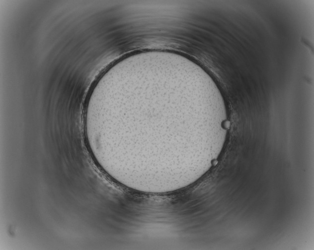 X0000101190848200807110943